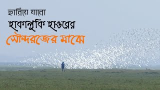 হাওর হাকালুকি বাংলাদেশের বৃহত্তম জলাভূমি