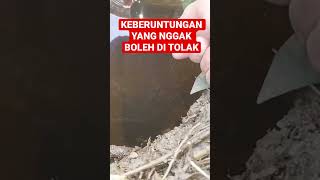Download lagu INI TEMPAT YANG HARUS DI KUNJUNGI KALAU MAU MANCING BELUT PASTI DAPAT JACKPOT BELUT BABON mp3 Download lagu INI TEMPAT YANG HARUS DI KUNJUNGI KALAU MAU MANCING BELUT PASTI DAPAT JACKPOT BELUT BABON mp3