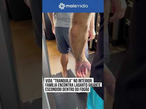Lagarto gigante surpreende família no RS