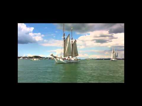 Jane Gifford on the Waitemata