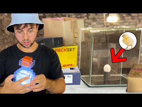 Ich öffne Fan Pakete und züchte ein Küken..