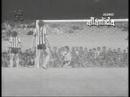 Botafogo 2 x 0 Flamengo (1976)