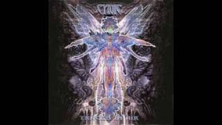 Cynic - Evolutionary Sleeper