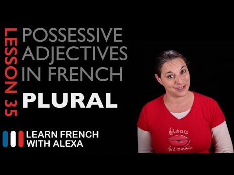 French Possessive Adjectives (Plural)