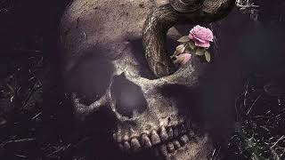 StarryMadly DREAM KILLA