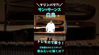 Download lagu トレモロで歌う！サン=サーンス白鳥 #打楽器 #music #クラシック音楽 #classic #マリンバ#ベルカント mp3