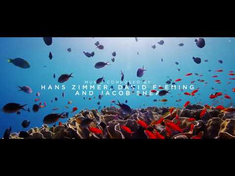 Blue Planet II Live In Concert