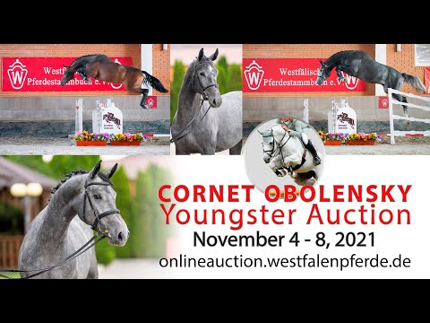 Trailer Cornet Obolensky Youngster Auktion 4. - 8. November 2021