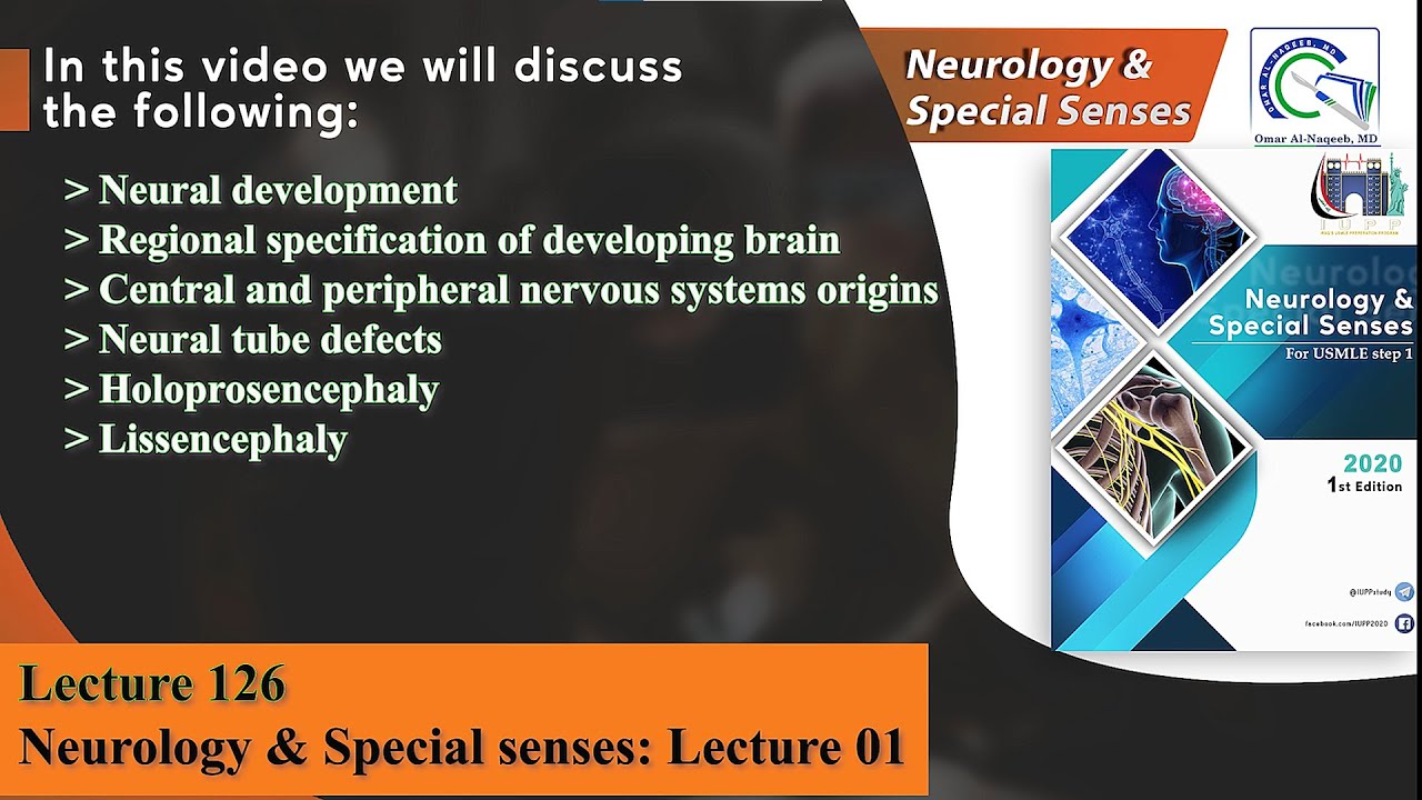 Neural development || Neural tube defects || Holoprosencephaly