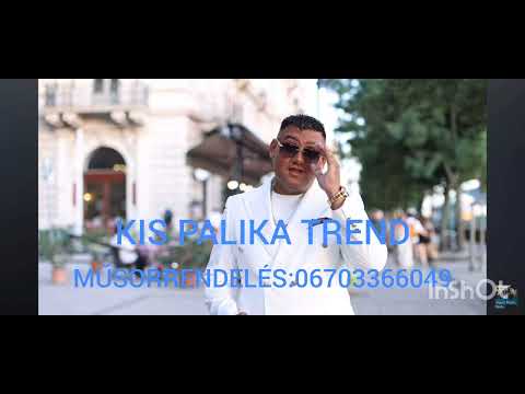 KIS PALIKA 2024 - MAGAS EZ AZ ERDŐ (SLÁGER) 💣