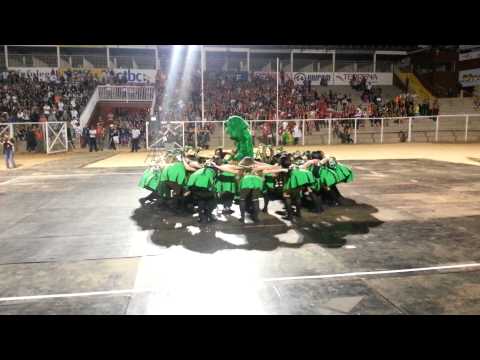 Batráquios - INTERMED 2013