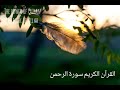 Ismail Annuri إسماعيل النوري | Surah Rahman سورة الرحمن |Beautiful Recitation