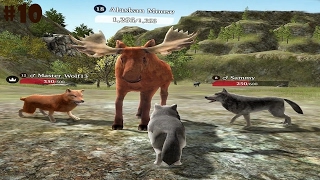 The Wolf Online Simulator -Hunt Real Animals- Android / iOS - Gameplay Episode 10