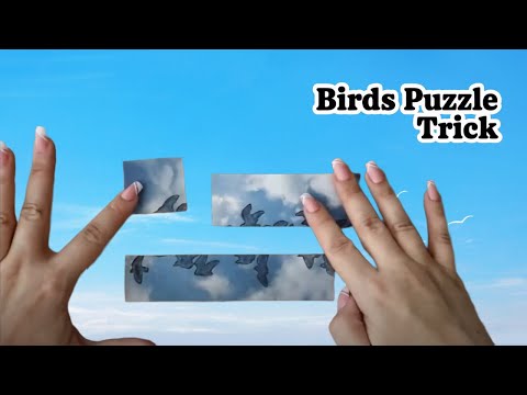 Birds Puzzle Trick – A Simple Paper Illusion with a Big Surprise