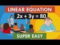 Linear Equation | Solving Linear Equations | What is Linear Equation in one variable ?