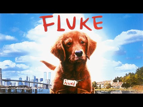 Fluke (1995) | Bande-annonce VOSTF (HQ)