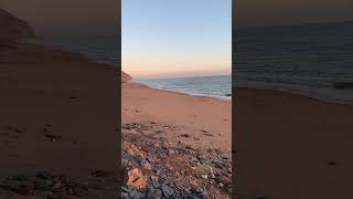 Fossil hunting in the #unitedkingdom #england Follow for more #4kwalks #travel