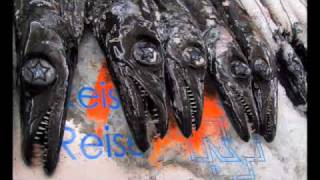 Rammstein Orchestra - Reise Reise; Morgenstern; Keine Lust