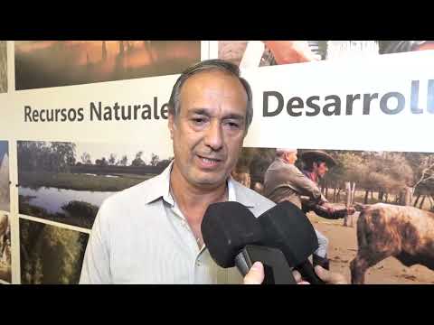 Presentación de la Fiesta de la Buena Miel en Basail