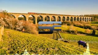 OneRepublic - Counting Stars (YONAS Remix)