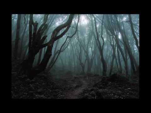 Transformation | Techno Track