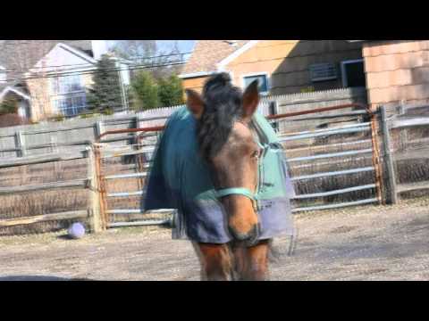 Going Back To The Corner Where I First Saw (YOU)