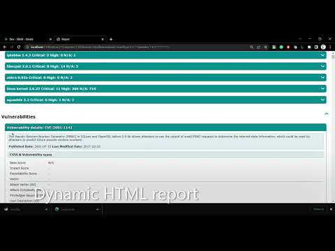 Video Image