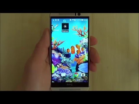 Coral Fish Live Wallpaper Video