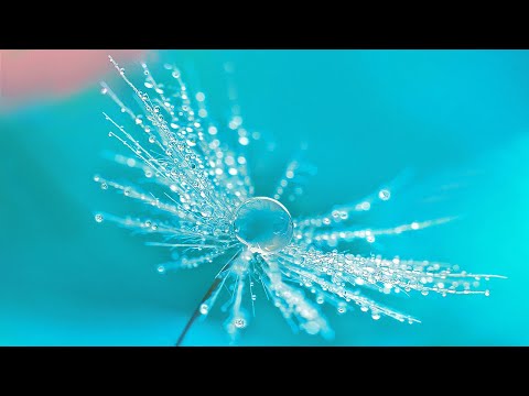 Michel Pépé : "MAGNIFICENCE" (Extraits du Best Of 2016-2023)