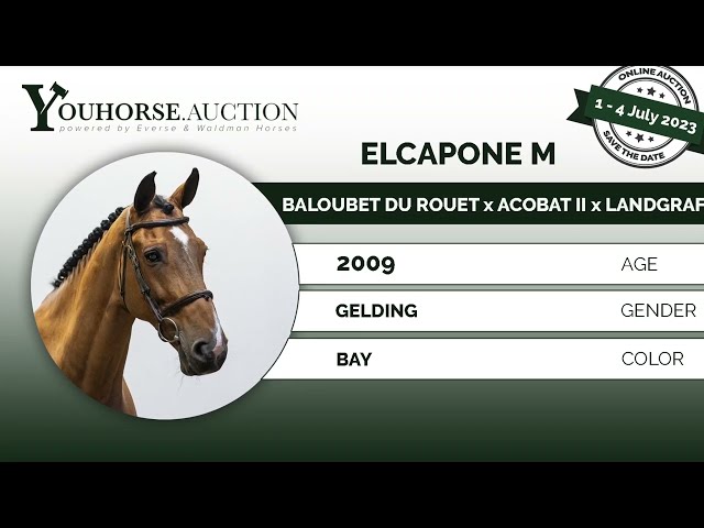 El Capone @ jumping Amsterdam