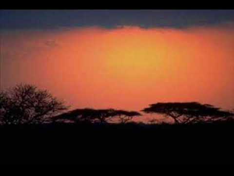 carinikova molitva- Žarko Đorđević