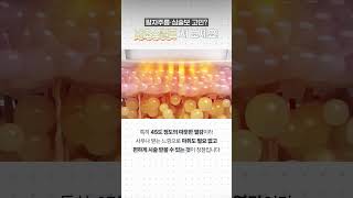 엠스컬프트 네오! 지방감소와 근육자극 효과를 통한 매끈한 바디라인 완성!