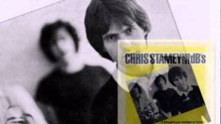 CHRIS STAMEY - ( I Thought ) You wanted to know