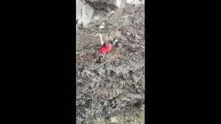 Regan McCaffery climbing "Snake Oil" (30) -FA- White Falls - New Zealand