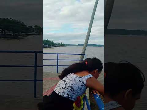 na minha querida coqueiro seco