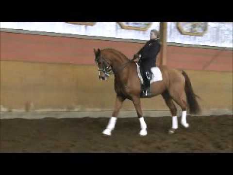 Fineliner  Longchamp geb  2009