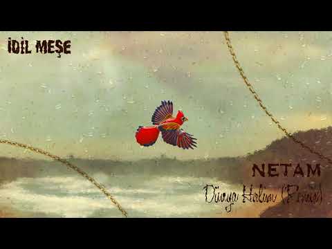 İdil Meşe & Netam - Dünya Halim (Remix)