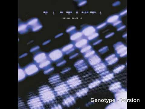 Genotype - Version