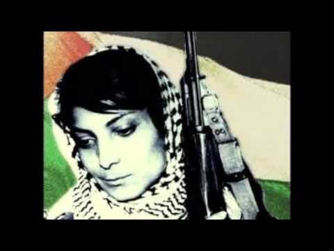 Debza Algerie chante la Palestine Palestine sung by the Algerian Band Debza