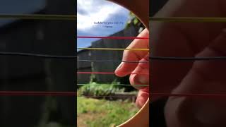 Download lagu Renai Circulation - Lizz Robinett 【 Guitar Fingerstyle Cover | Shorts 】 mp3