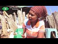 Rramozara On Real Tea Botswana