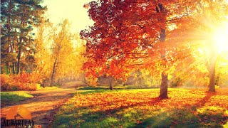 Download lagu Angelic Morning Music 528Hz 🧡 Fight Stress, Negativity and Anxiety - Music For The Soul mp3 Download lagu Angelic Morning Music 528Hz 🧡 Fight Stress, Negativity and Anxiety - Music For The Soul mp3