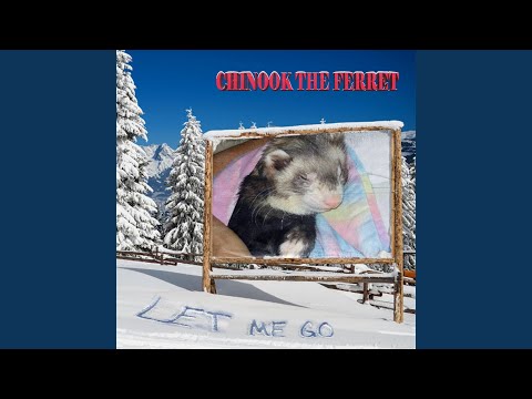 Ain't Got a Nickel to My Name