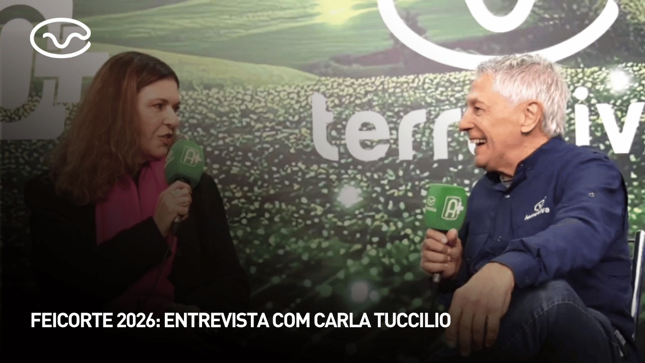 Feicorte 2026: entrevista com Carla Tuccilio, CEO da Verum