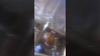 Chevy Caprice Oil Pan Gasket Replacement