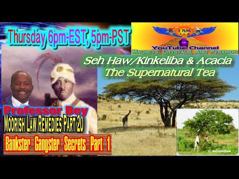 Seh Haw/Kinkeliba & Acacia- The Supernatural Tea