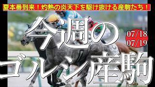 今週のゴールドシップ産駒 (07/18,19)【夏本番到来！灼熱の炎天下を駆け抜ける産駒たち！／マイネルメモリーほか】