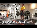 デッドリフトは後背筋に効くのか！？