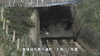 天神川 天神川1号橋
