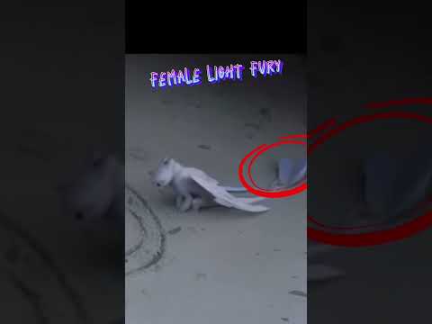 male light fury??#httyd #toothless #edit #dragon #whatif? #lightfury #nightfury